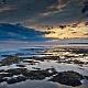 Водоросли фукус на дне Белого моря во время отлива. Архангельская область, близ г. Онега, 2015 г.